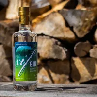 If gin erabliere2